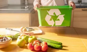 Organic Waste Converter for Waste Management 