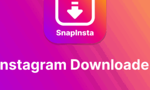 Snapinsta NetDNA