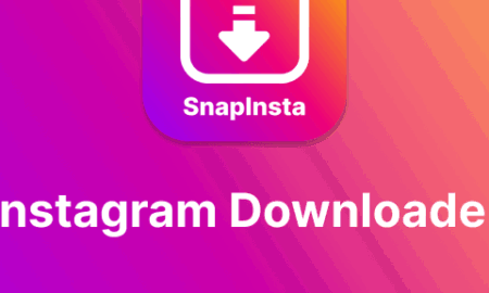 Snapinsta NetDNA