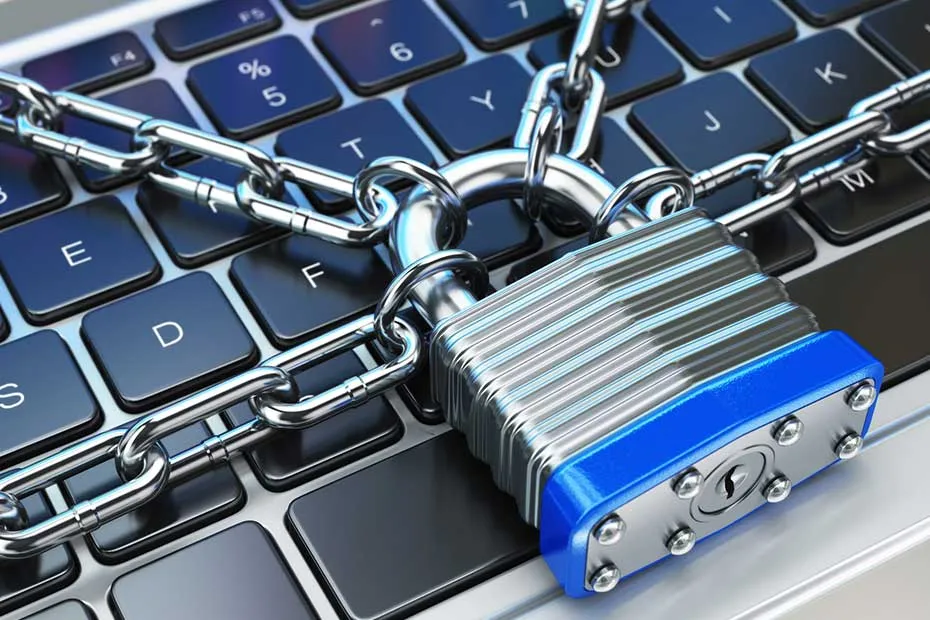 Online Safety and Fraud Prevention