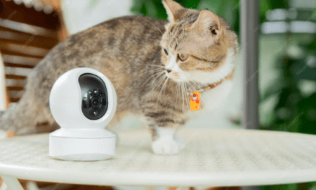 Best Pet Cameras Without Subscription