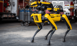 Autonomous Security Robot from Boston Dynamics Kills Engineer During Overnight Test