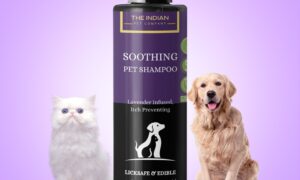 Leading Organic Dog Shampoo Manufacturers in India
