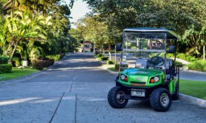 Getting Around Los Sueños Easily with a Golf Cart Rental
