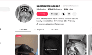 Authorities Remove Viral Pet Raccoon