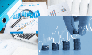 Data-Driven Financial Decisions in the Digital Economy