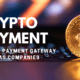 Crypto Payment Gateway