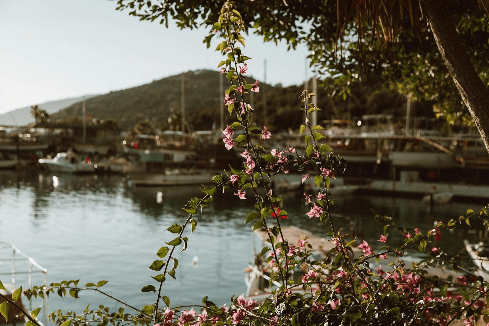 Discover Things to Do in Bodrum