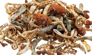 Dried Magic Mushrooms