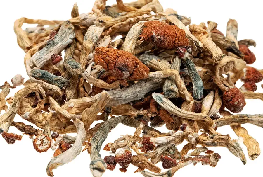 Dried Magic Mushrooms: What They Are, Effects, Uses, and Safety