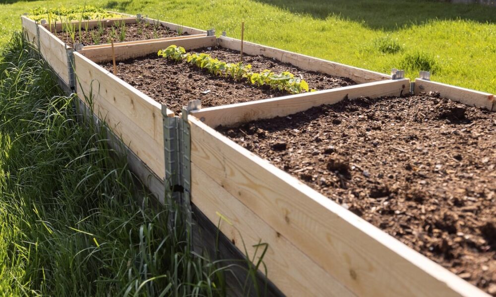 Planning a Flower Bed: Soil Depth and Volume Explained