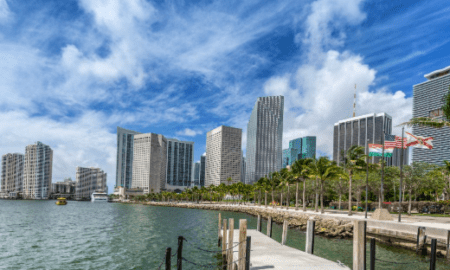 Software Development