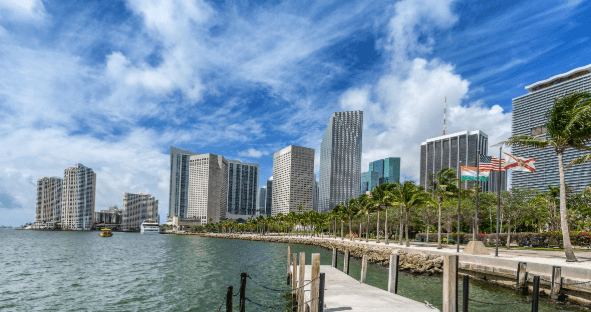 Top 7 Software Development Companies in Florida