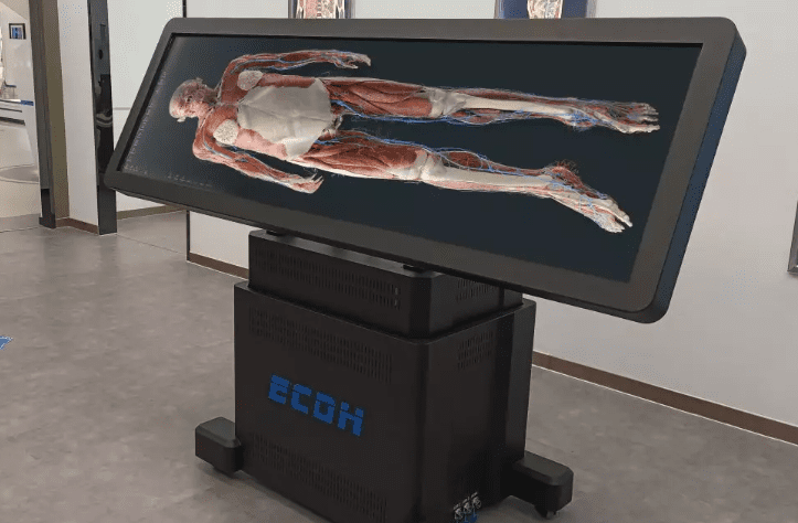 Anatomy Education Challenges: How Can Virtual Anatomy Tables Help?