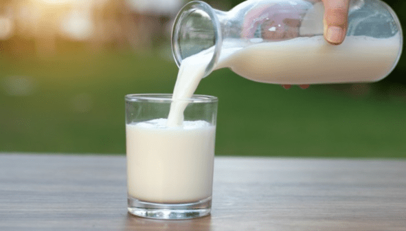 Raw Milk Benefits and the Growing Demand for Fresh Milk
