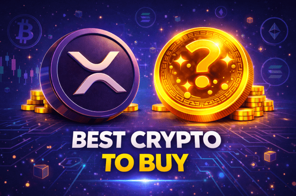 Mutuum Finance Gains Traction, As XRP and BNB Compete for Market Position