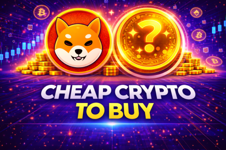 Why a Shiba Inu Rally May Be Followed By A 15% Drop Amid Competition From Mutuum Finance (MUTM)