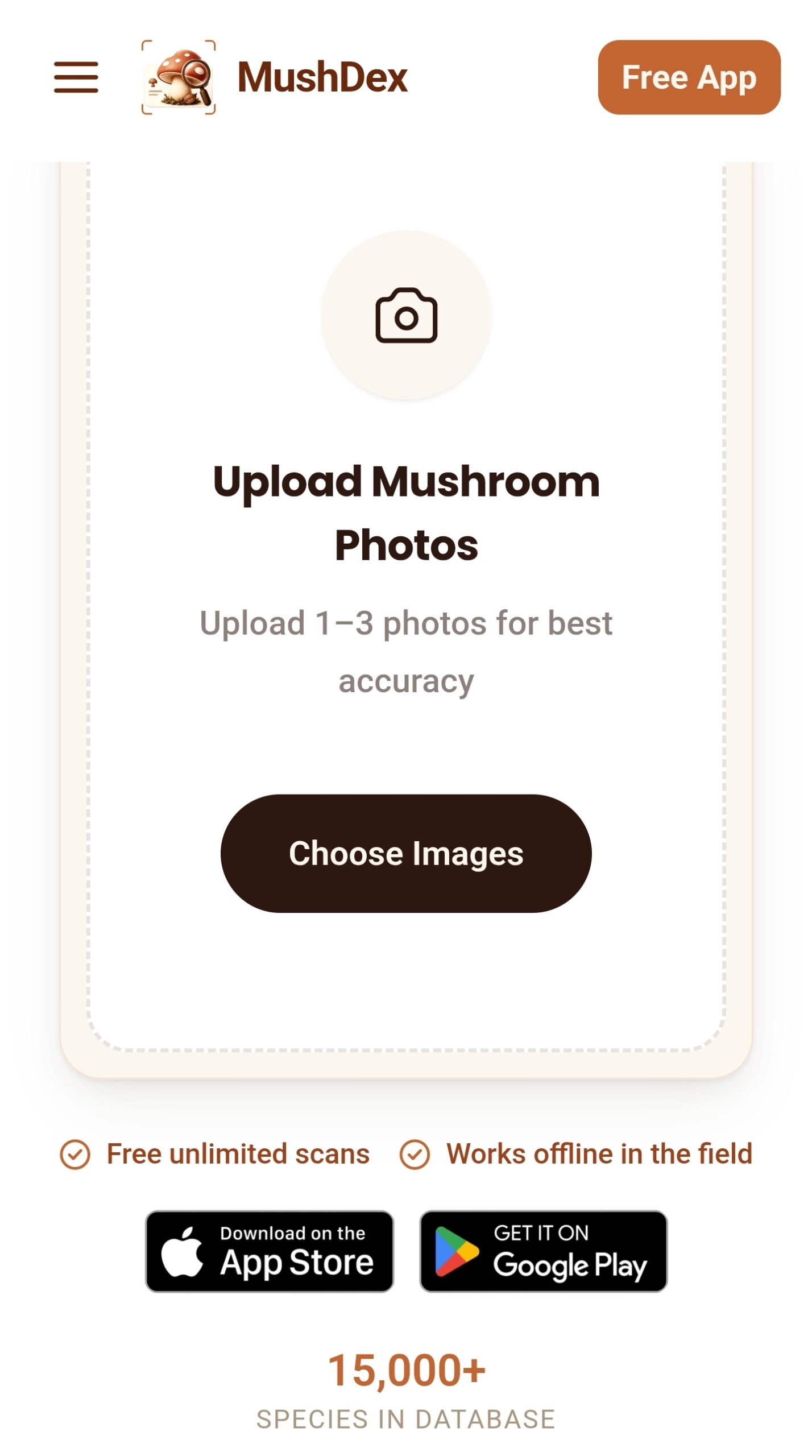 Identification in the Real World: 8 Tools Ranked by Usefulness
