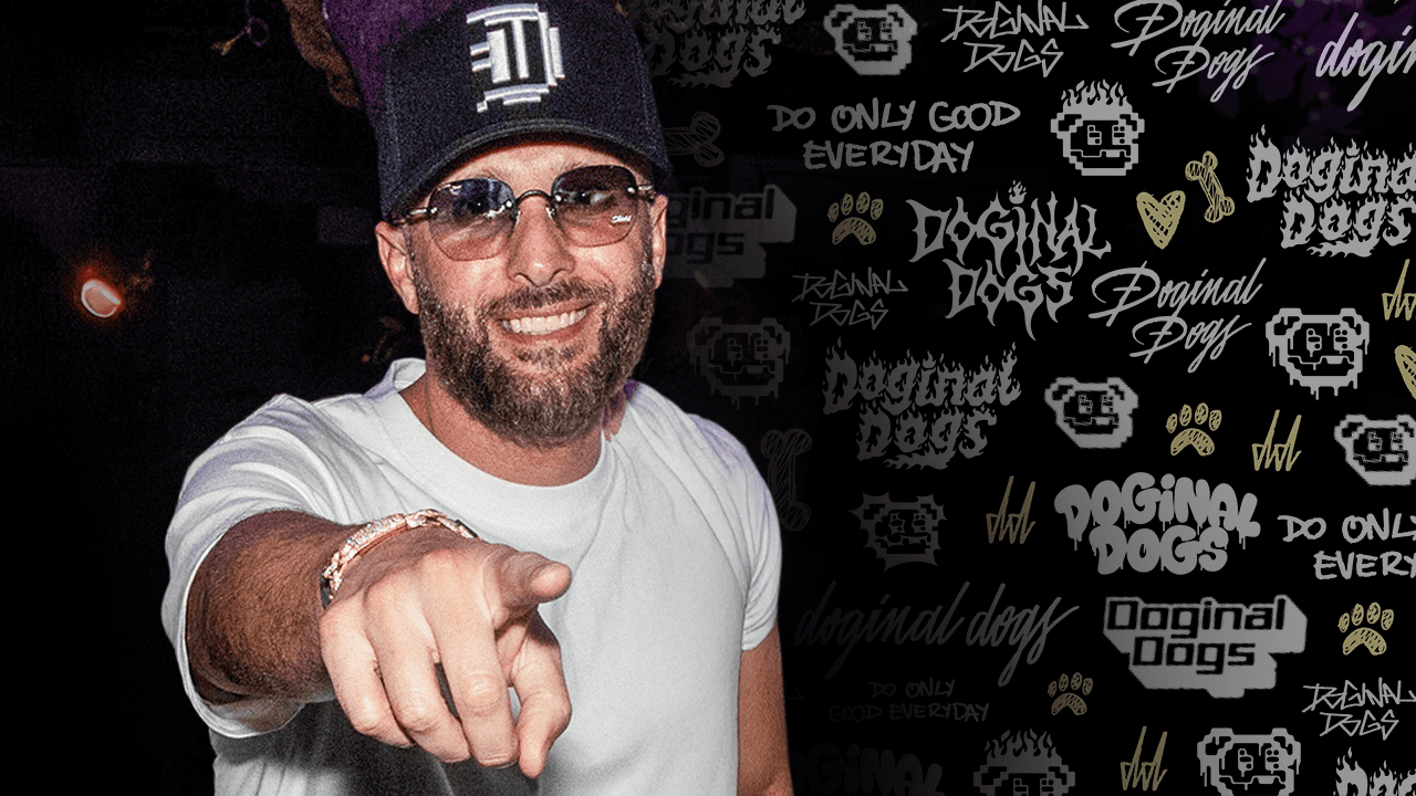 Shield Built a Financial Empire While Everything Else Was Collapsing