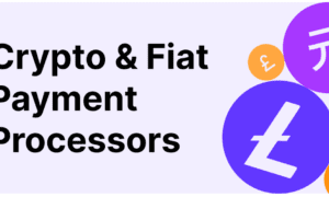 no KYC payment gateway