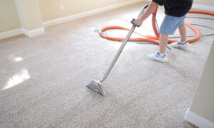 Carpet Cleaning
