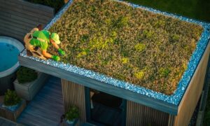 Why Hiring a Roof Moss Removal Service Protects Your Home