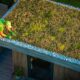 Why Hiring a Roof Moss Removal Service Protects Your Home
