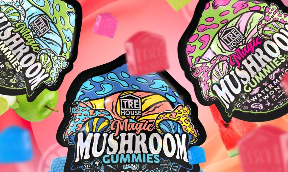 Mushroom Gummies Dosage Guide: How Many Should You Take?