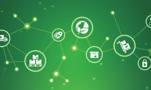 Supply Chain Sustainability