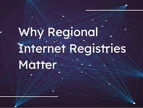 National Internet Registries: Gatekeeper or Enabler?