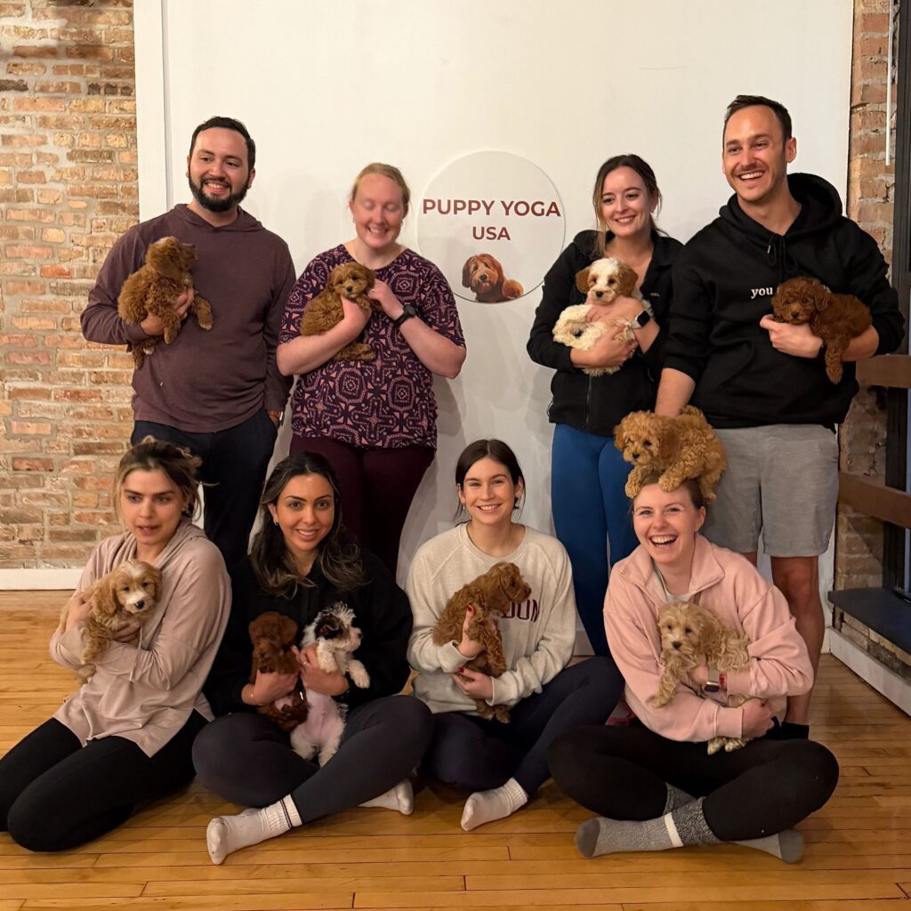 Puppy Yoga New York City USA