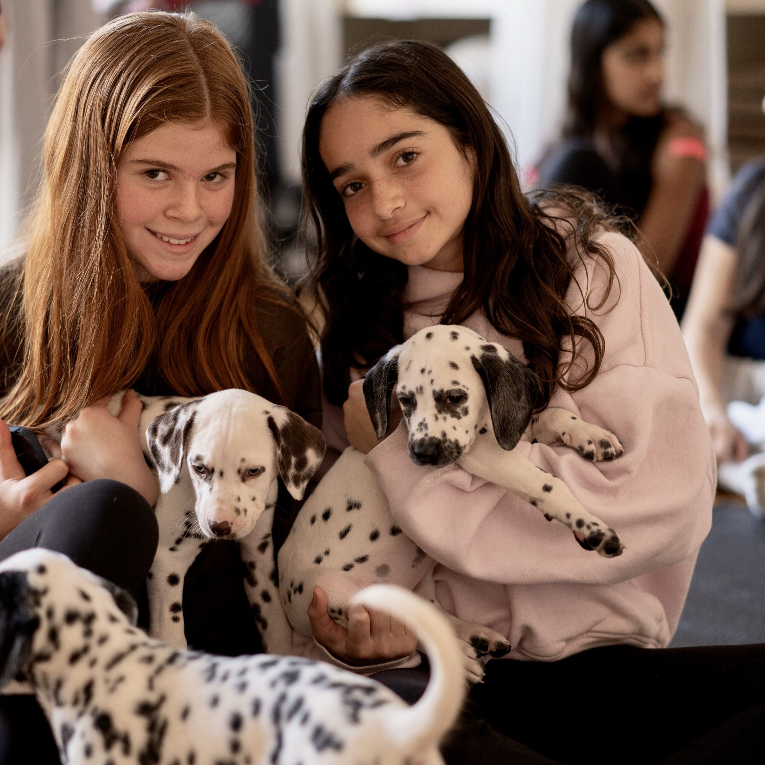 Here's your complete first-timer's guide to puppy yoga USA, including what to expect, how to prepare, and tips to make the most of your experience.