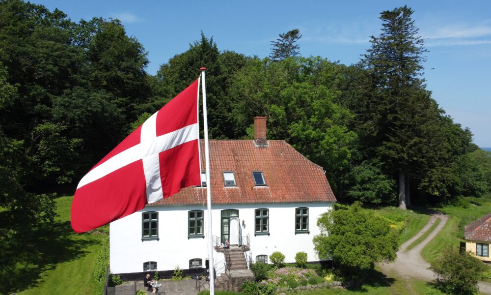 How simpledenmark.com Empowers Tech Professionals Moving to Denmark