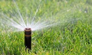 Repairing Faulty Sprinkler Valves, Pipes,