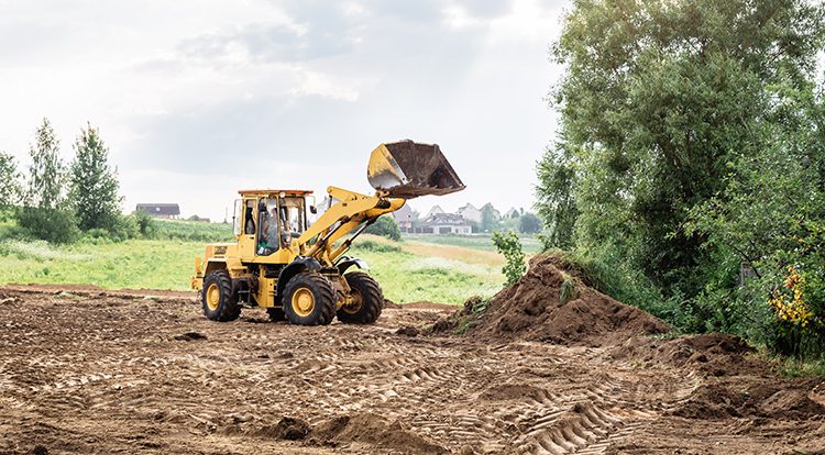 When to Hire Land Clearing Services for Property Development