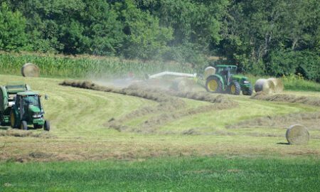 Regenerative Agriculture