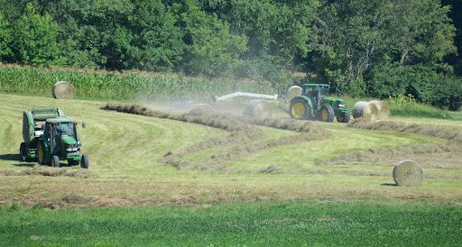 Sustainable Fertilizer Companies Supporting Regenerative Agriculture