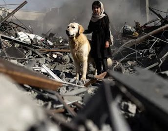 Heroic Dog Saves Girl Amid Tragedy