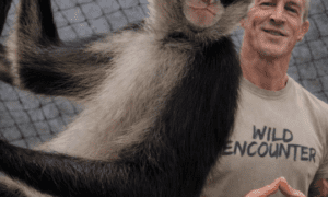 Winston the Spider Monkey Sparks Global Support for SPARTN Sanctuary