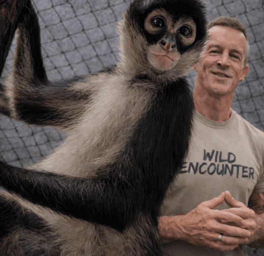 Winston the Spider Monkey Sparks Global Support for SPARTN Sanctuary
