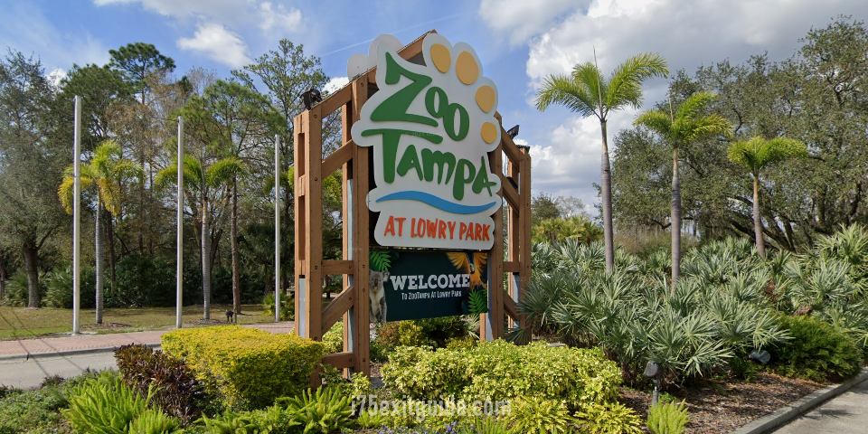 $Momo Community and Zootampa to announce major partnership following contributions to Zootampa at Lowry Park