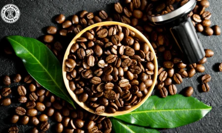 Organic Single-Origin Coffee Brands