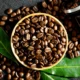 Organic Single-Origin Coffee Brands
