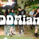 DDMiami Recap: Doginal Dogs Hit Miami and Set a New Standard for What NFT Events Can Be