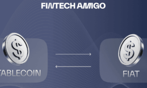 Fintech Amigo