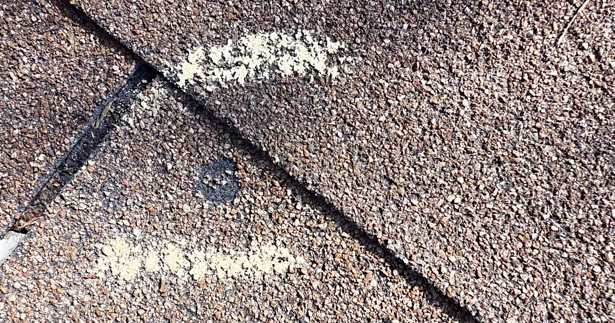 Storm Damage Roof Repair in DFW: How Dallas Homeowners Are Weathering the Hail Season Wave