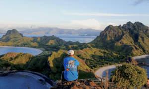 How Technology Is Transforming Tourism in Remote Destinations Like Komodo