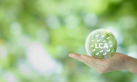 Verification in Sustainability Reporting