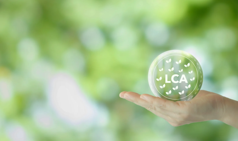 Verification in Sustainability Reporting