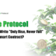 Vine Protocol
